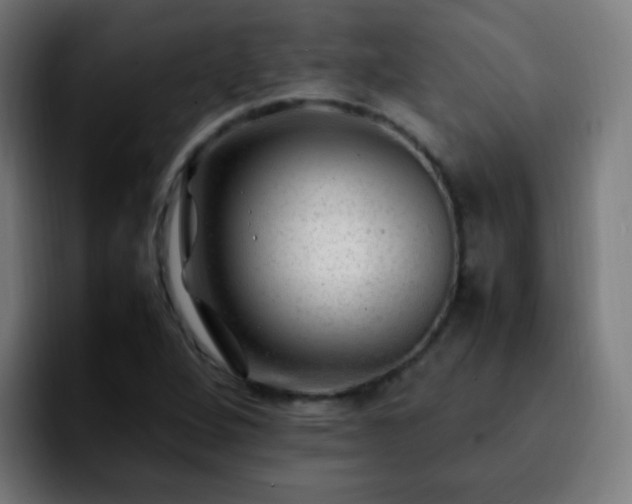 X0000092281264200709211149