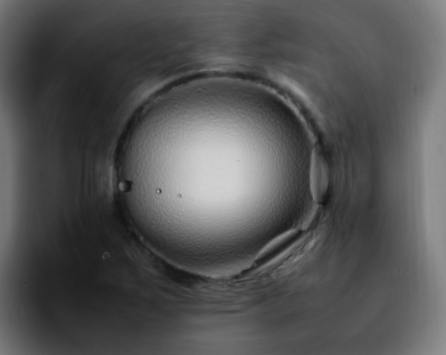 X0000092281267200709211149