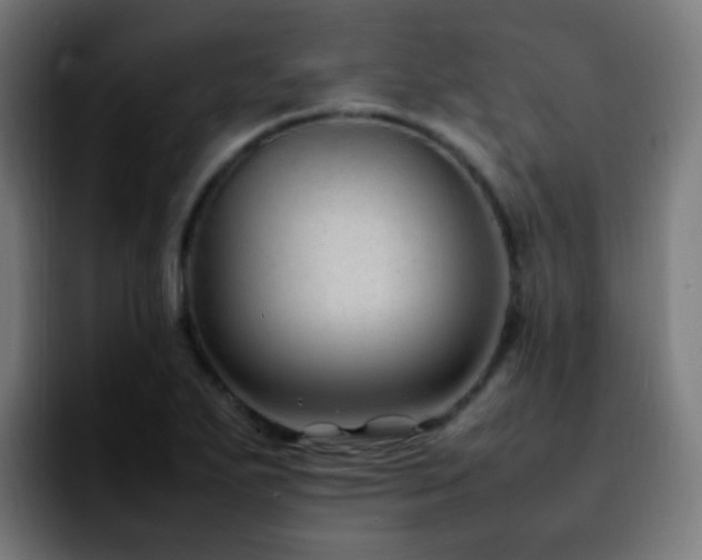 X0000092281271200709211149