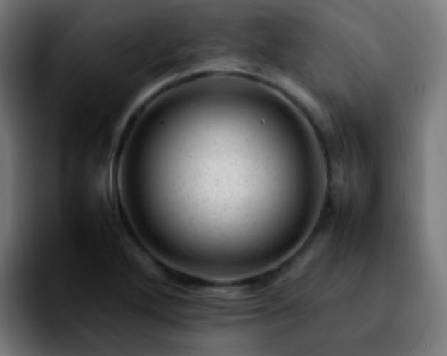 X0000092281272200709211149