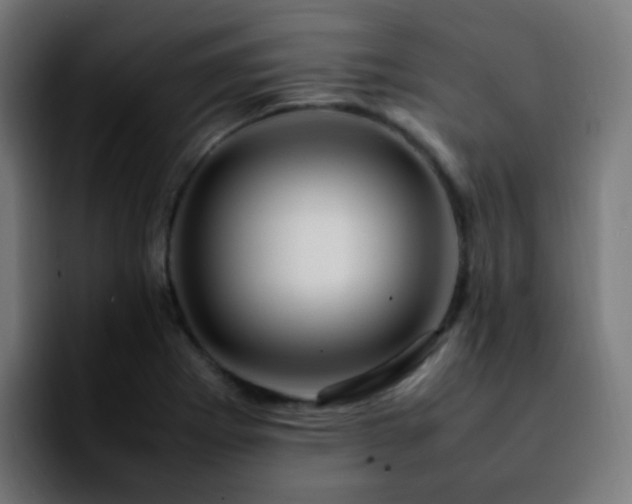 X0000092281273200709211149