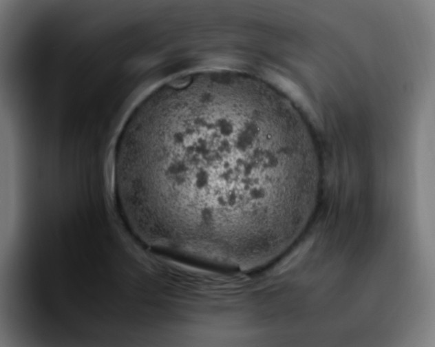 X0000092281275200709211149