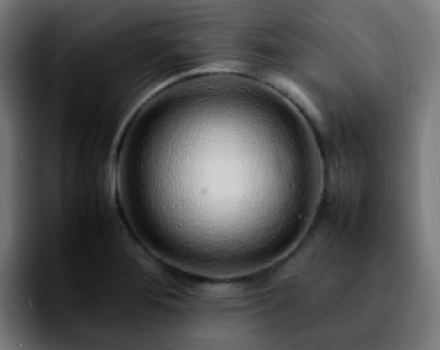 X0000092281276200709211149