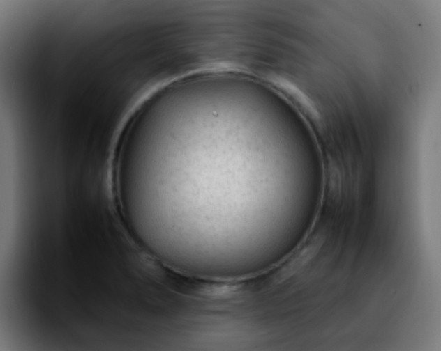 X0000092281278200709211149