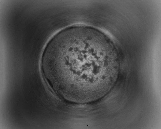 X0000092281279200709211149