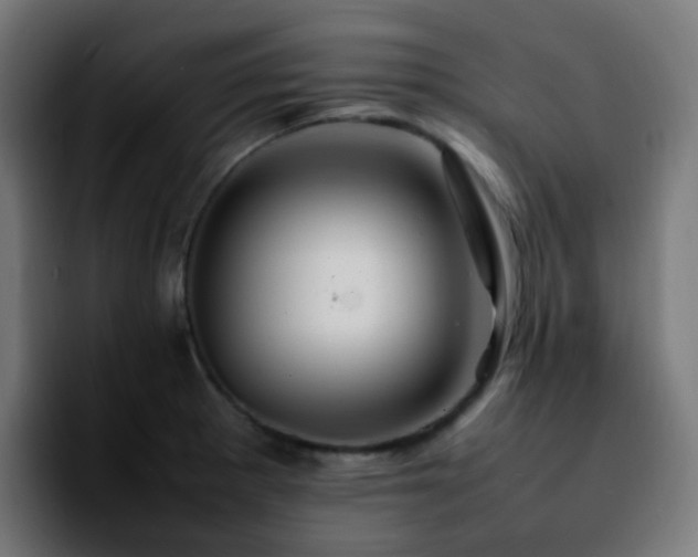 X0000092281281200709211149