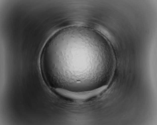 X0000092281283200709211149