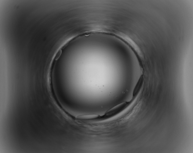 X0000092281285200709211149