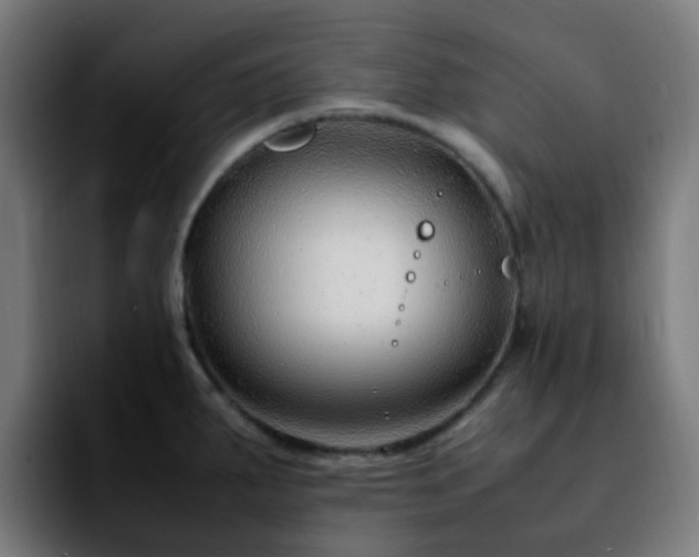 X0000092281287200709211149