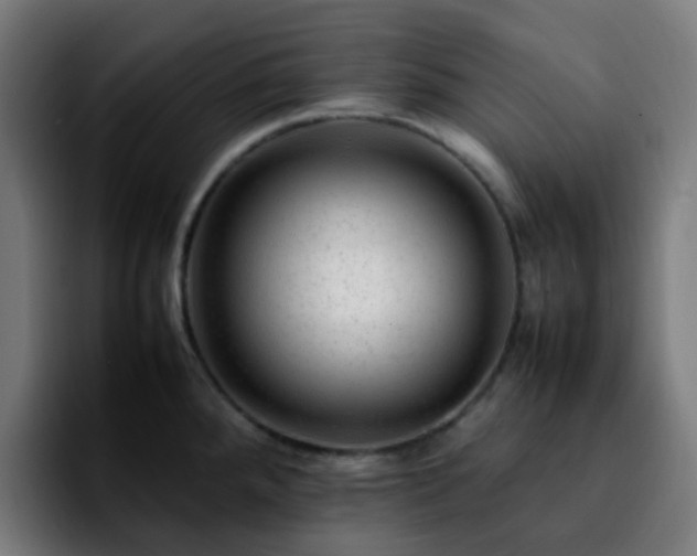 X0000092281288200709211149