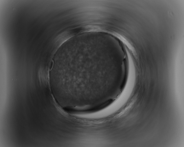 X0000092281289200709211149