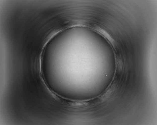 X0000092281290200709211149