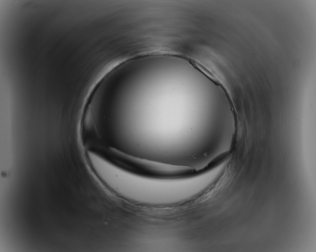 X0000092281293200709211149