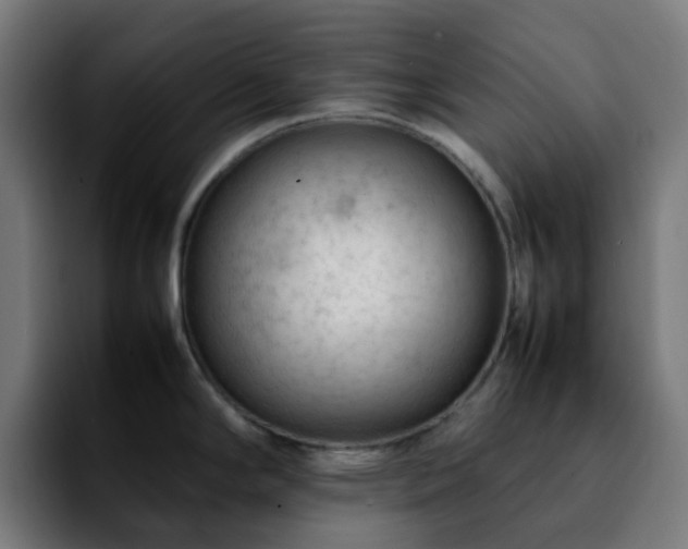 X0000092281294200709211149