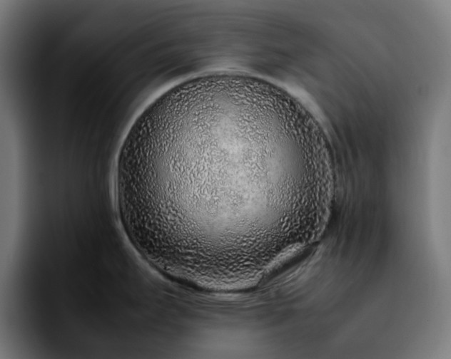 X0000092281295200709211149