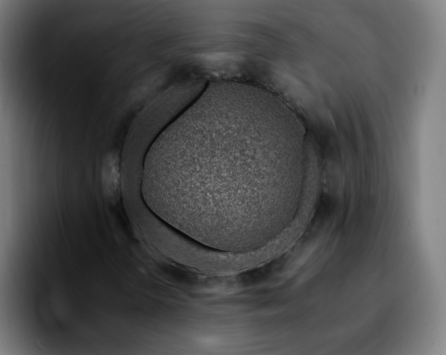 X0000092281298200709211148