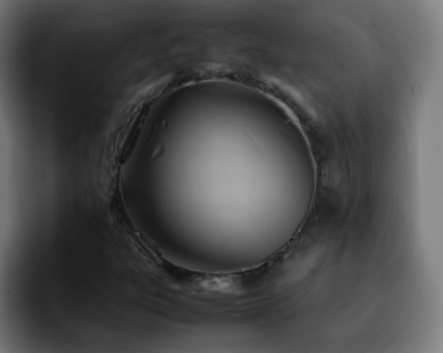 X0000092281303200709211148