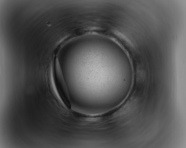 X0000092281305200709211148