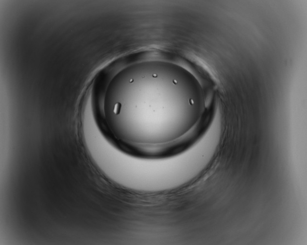 X0000092281308200709211148