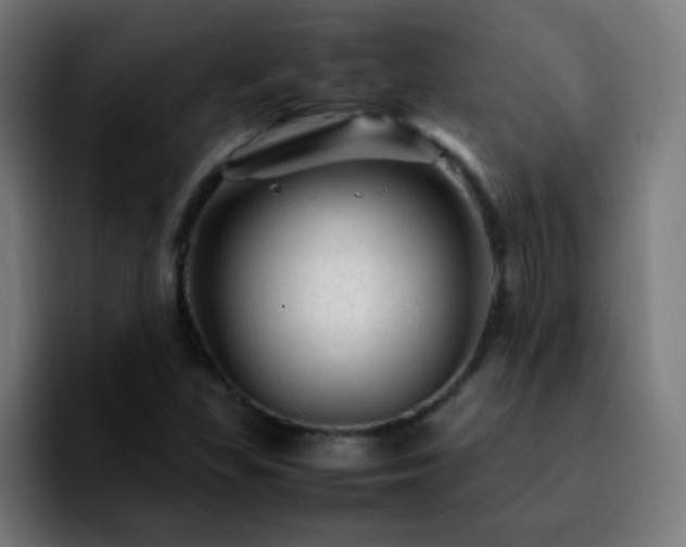 X0000092281309200709211148