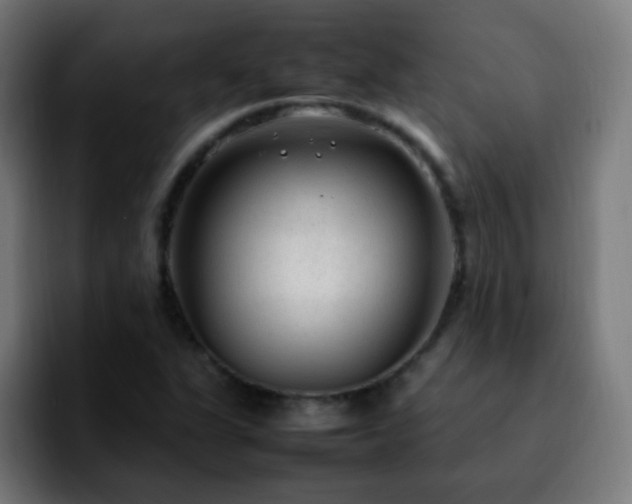 X0000092281311200709211148