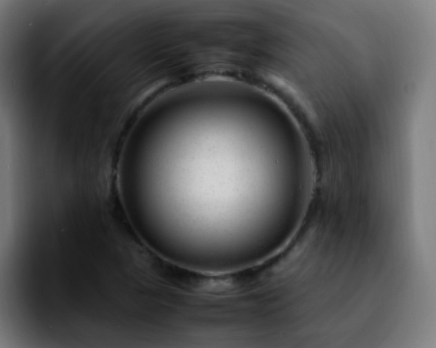 X0000092281313200709211148