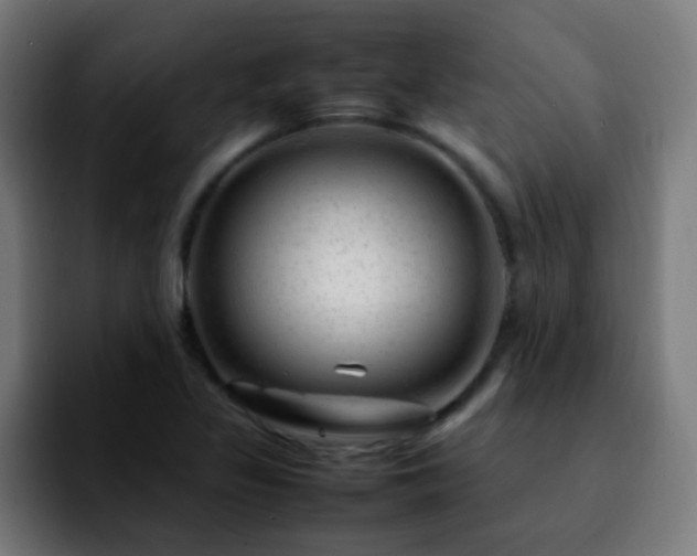 X0000092281317200709211148