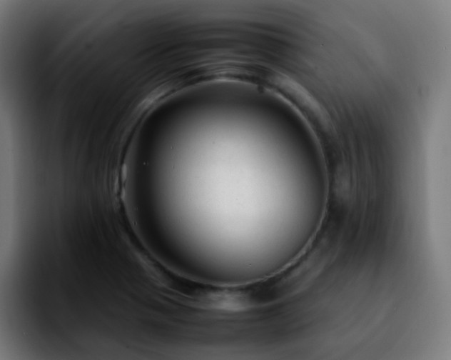 X0000092281321200709211148