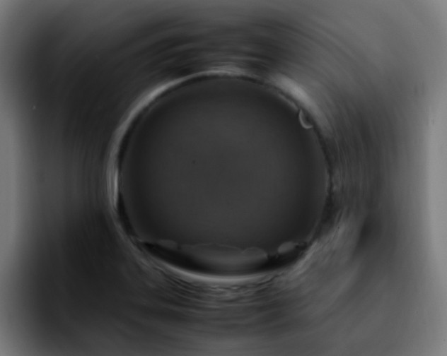 X0000092281323200709211148