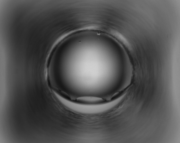 X0000092281324200709211148