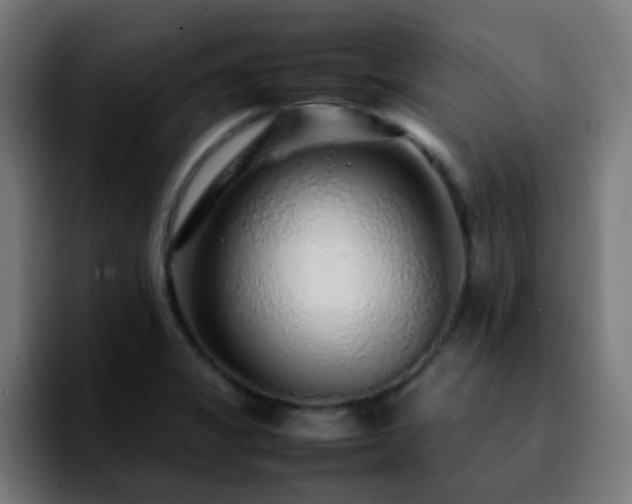 X0000092281325200709211148