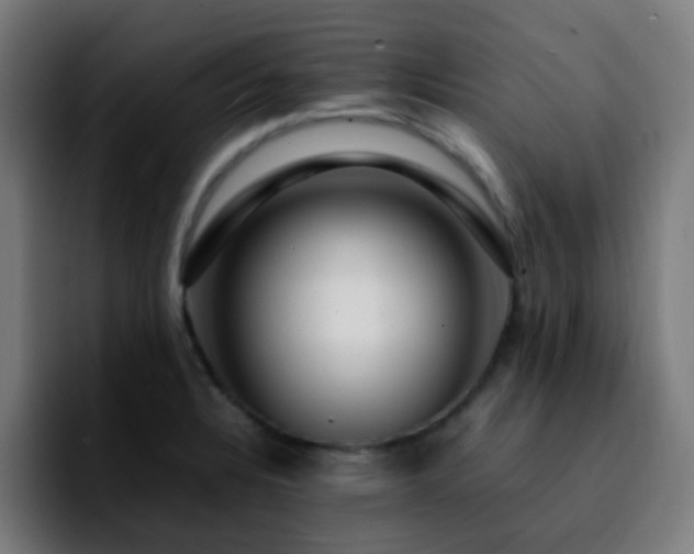 X0000092281328200709211148