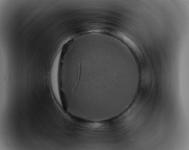 X0000092281329200709211148