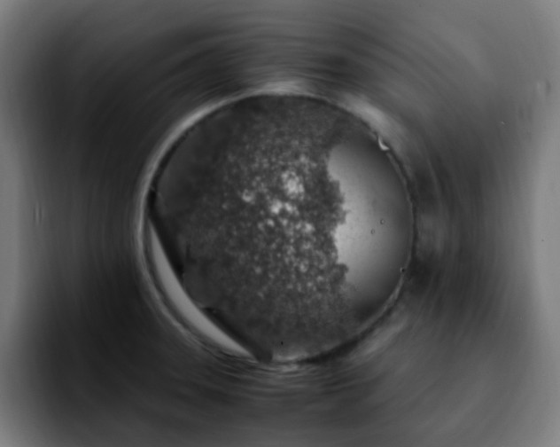 X0000092281331200709211148