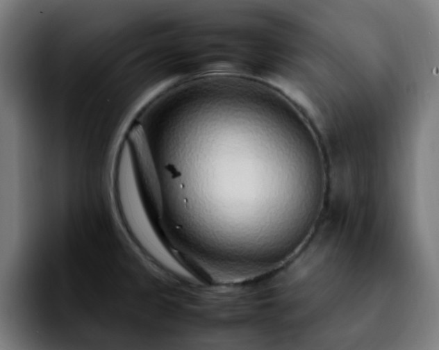 X0000092281333200709211148