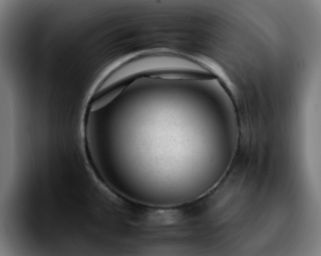 X0000092281335200709211148