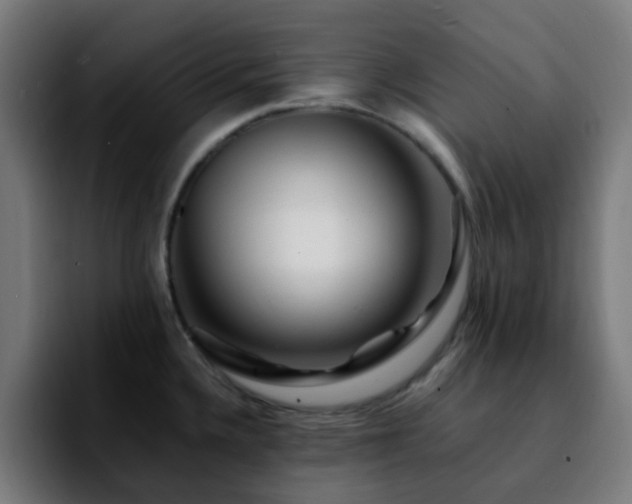 X0000092281336200709211148