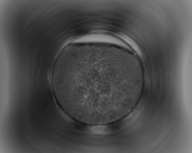 X0000092281337200709211148