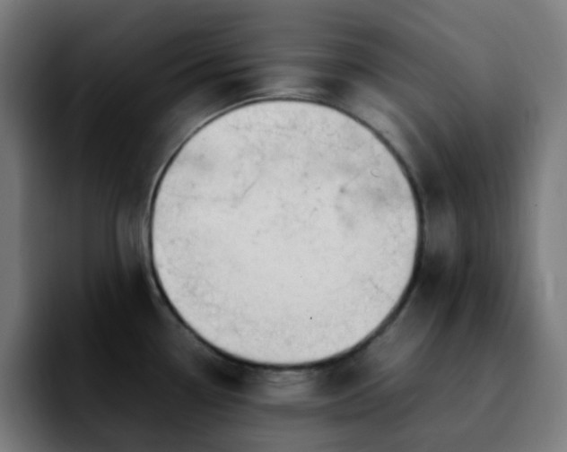 X0000092281338200709211148