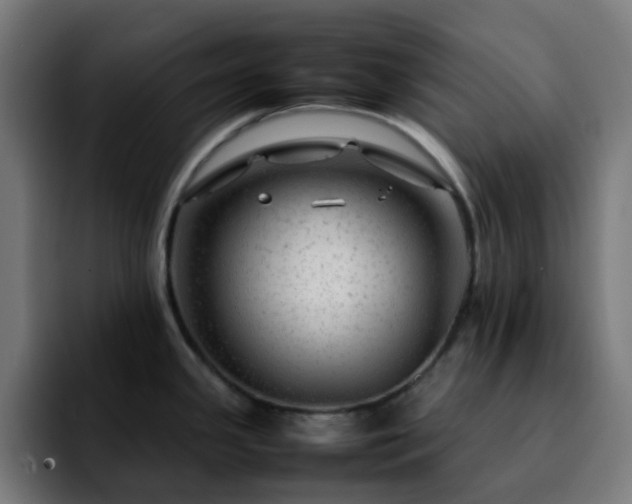 X0000092281341200709211148