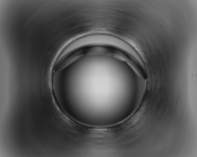 X0000092281342200709211148