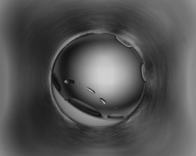 X0000092281343200709211148