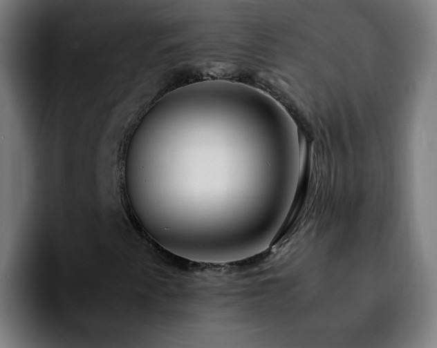 X0000092281345200709211148