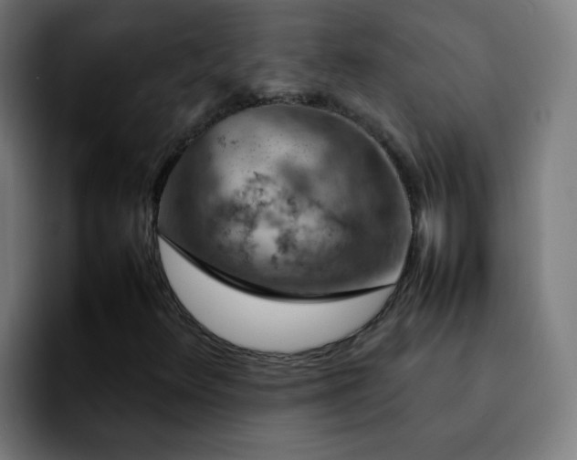 X0000092281348200709211148