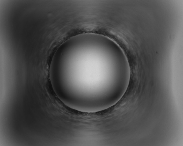 X0000092281349200709211148