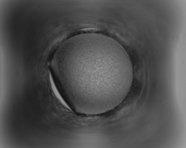 X0000092281351200709211148