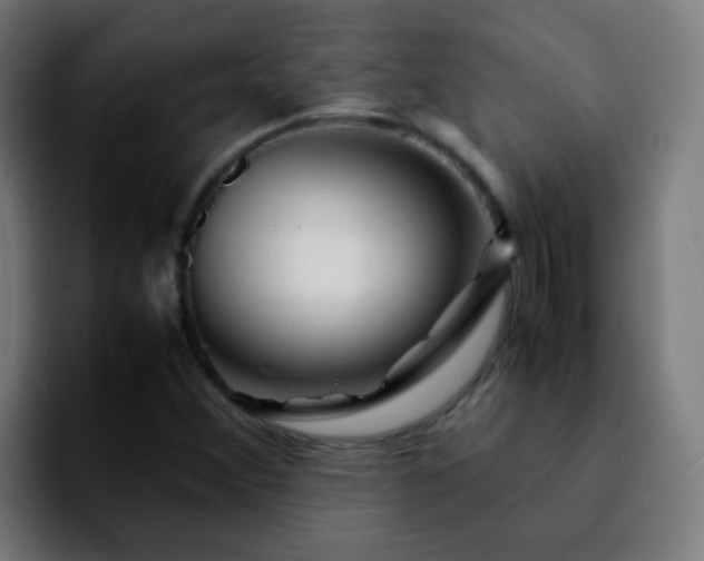 X0000092281356200709211148