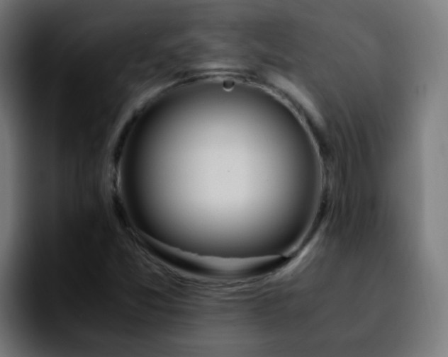 X0000092281357200709211148