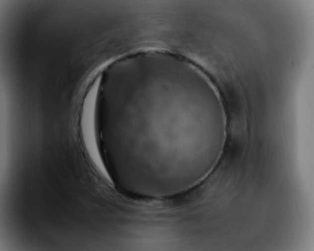 X0000092281359200709211148