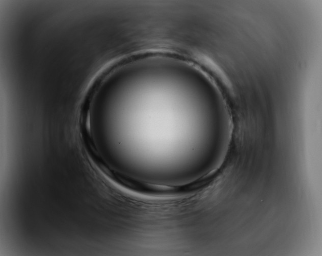 X0000092281360200709211148